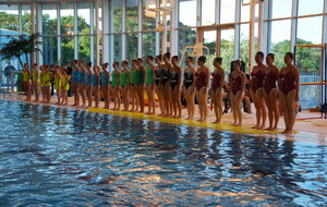 Gala de natation Synchronisée