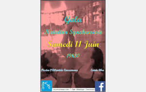 Gala de Synchro de fin d'année