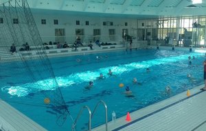 Rassemblement Jeune water polo