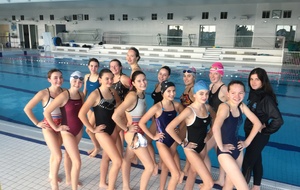 Stage de natation artistique