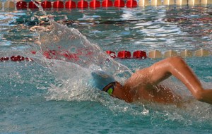 50b36d17526cc_quimper2012 026.JPG