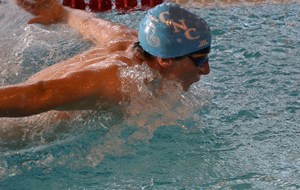 50b36d9a648d0_quimper2012 029.JPG