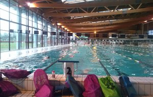 La piscine

