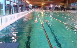 La piscine