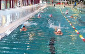 Les gambettes au boulot