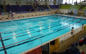 Seuls dans le bassin