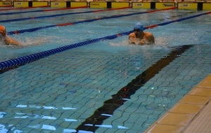 566aa3e2e0ef5_regionauxrennes2015029.JPG