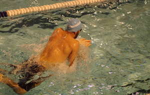 5a12bc124231b_IMGP0487.jpg