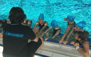 5cffadc7774ff_6234378218594063975391337286506494059610112n.jpg
