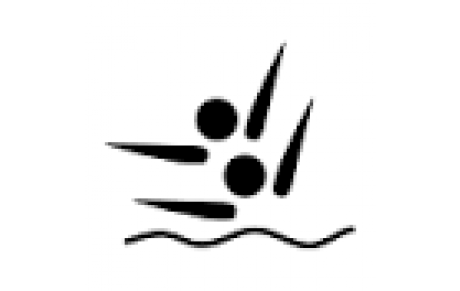 Gala de Synchro