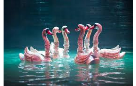 gala de synchro