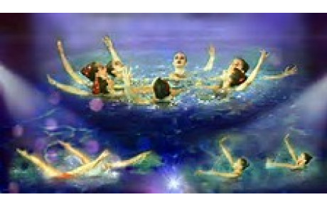 Gala de natation synchronisée